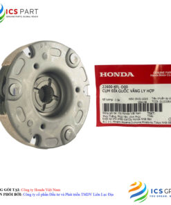 CỤM ĐĨA GUỐC VĂNG LY HỢP
