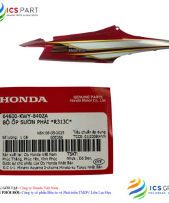BỘ ỐP SƯỜN PHẢI *R313C*