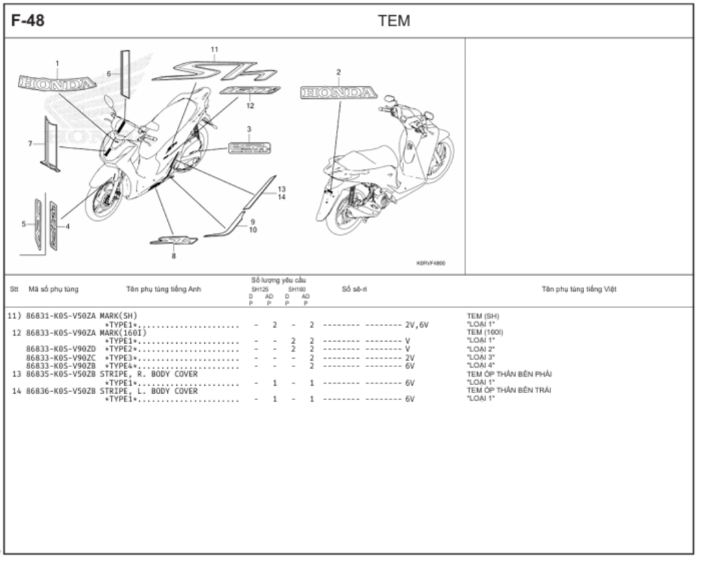 F-48 - TEM